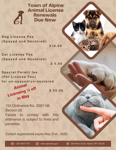 Yearly Animal Licensing Renewal